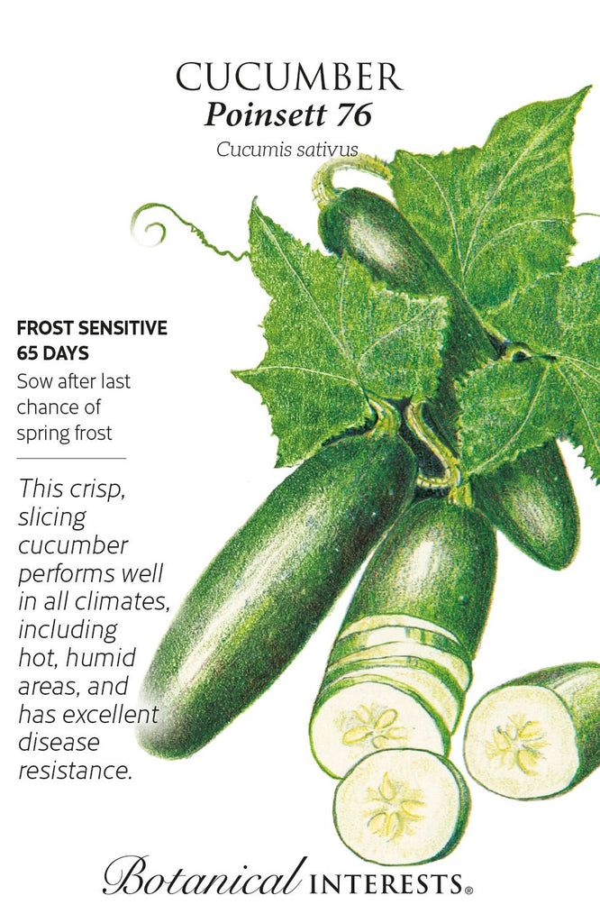 Poinsett 76 Cucumber