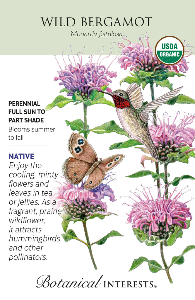 Wild Bergamont Herb Seed