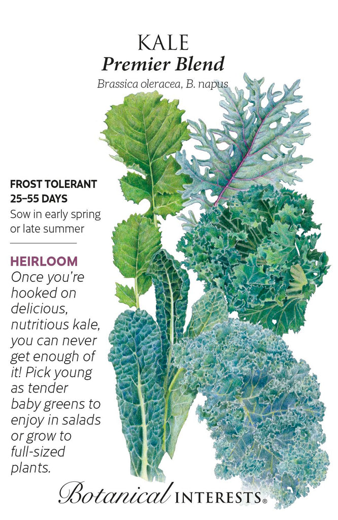Premier Blend Kale Seed