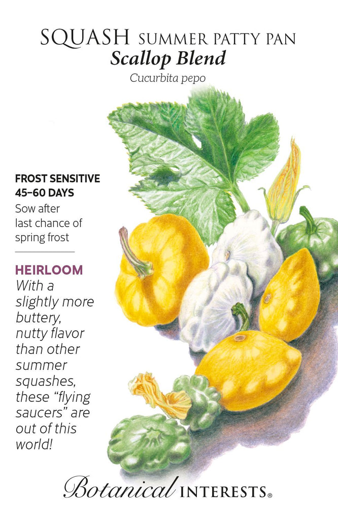 Patty Pan Scallop Summer Squash Blend Seeds