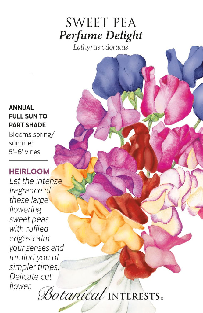 Perfume Delight Sweet Pea Seeds
