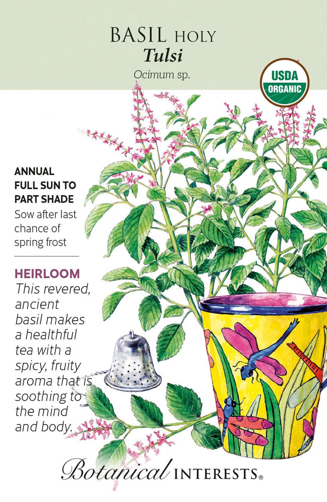 Tulsi Holy Basil Seeds