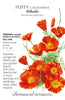 California Poppy Wildflower Seeds