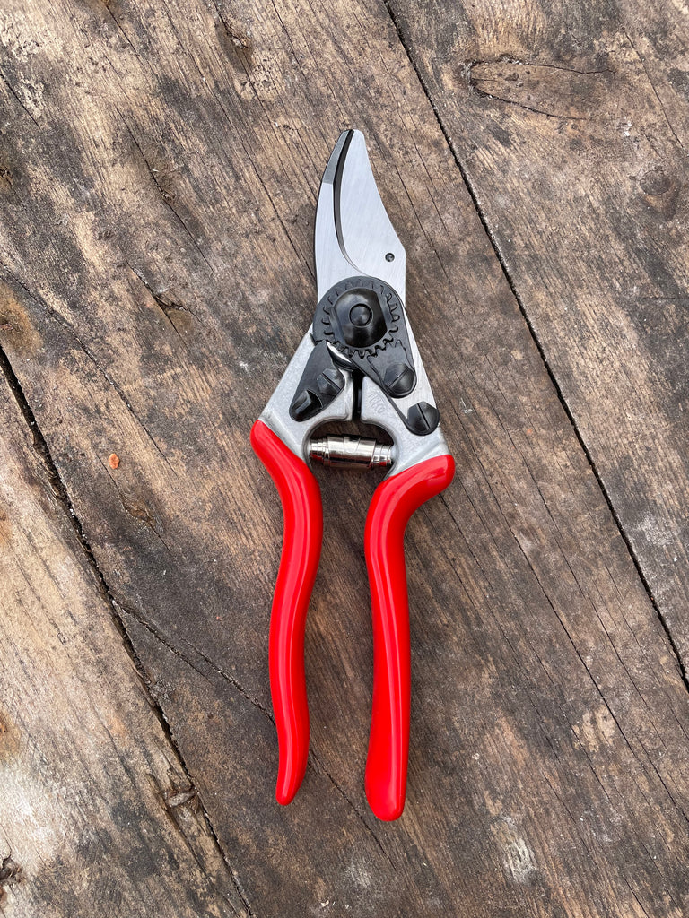 Felco 6 Pruners