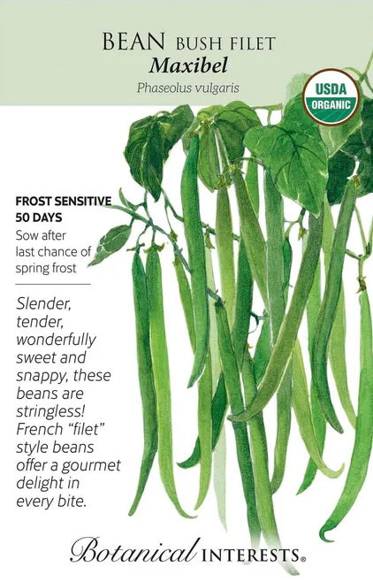 Maxibel Bush Bean Seed