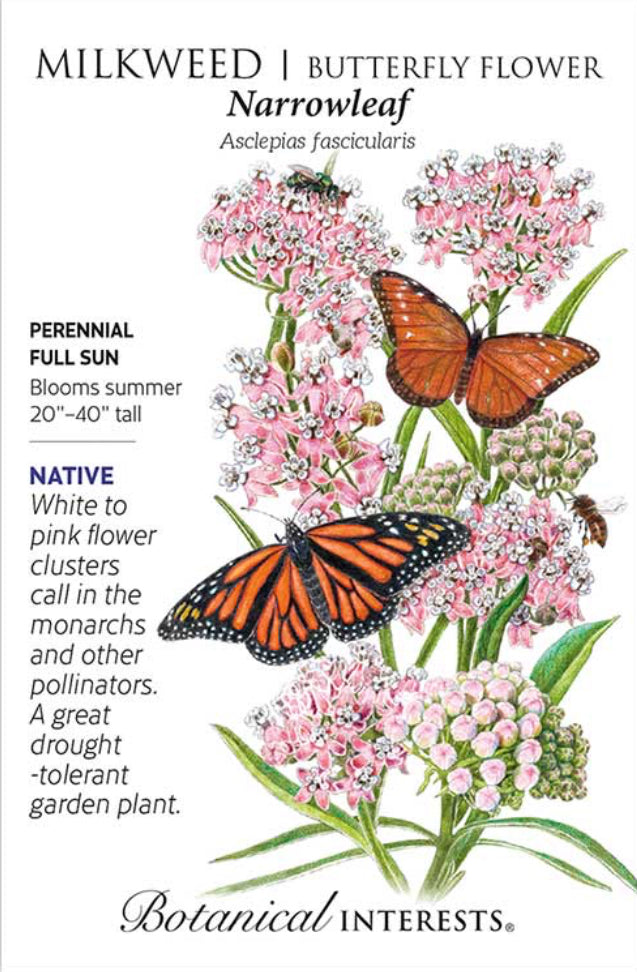 Narrowleaf Milkweed Butterfly Flower Seeds