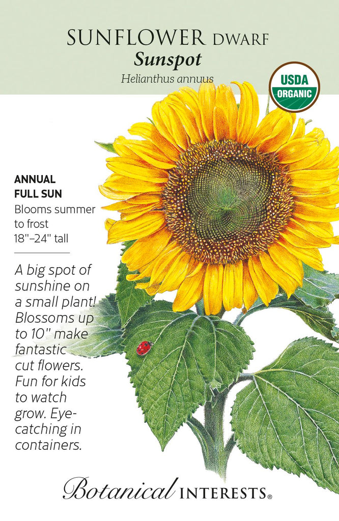 Sunspot Dwarf Sunflower Seeds