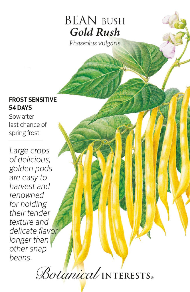 Gold Rush Bush Bean Seeds