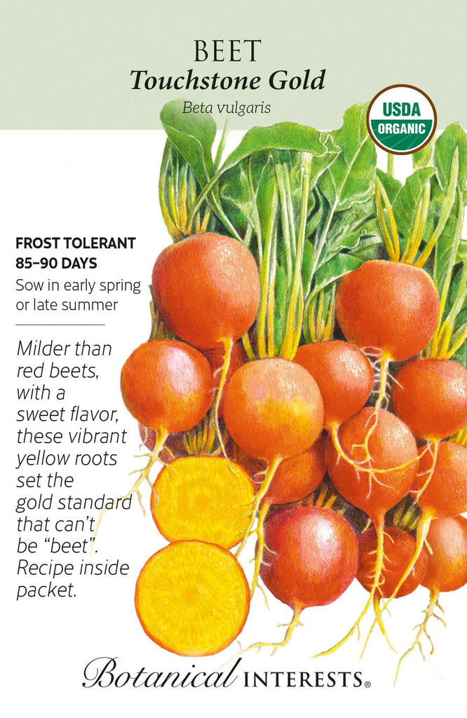 Touchstone Gold Beet Seed