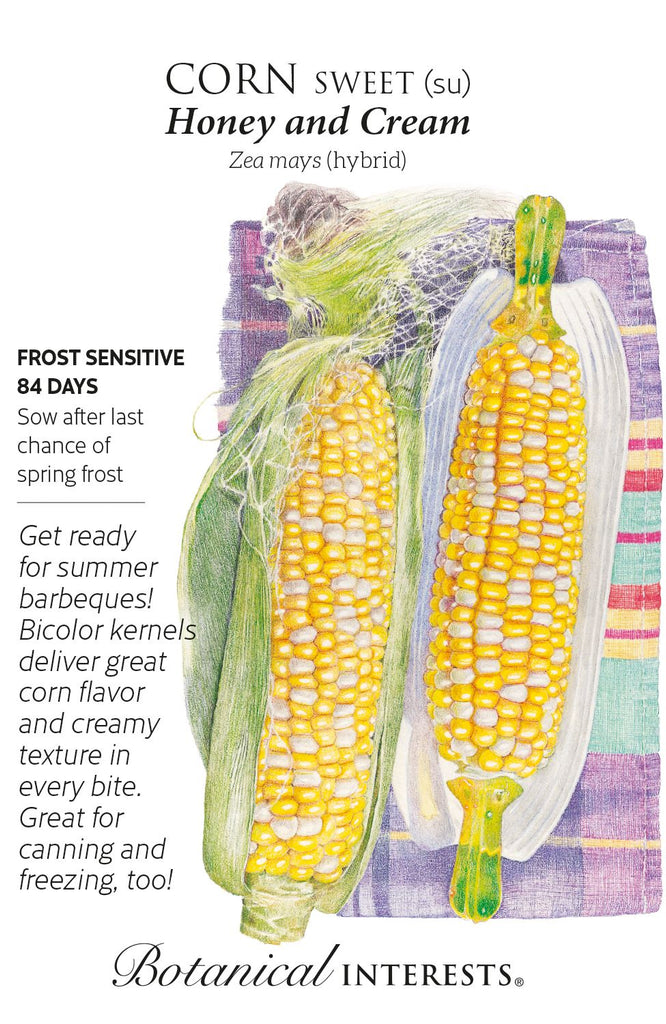 Honey & Cream Sweet Corn