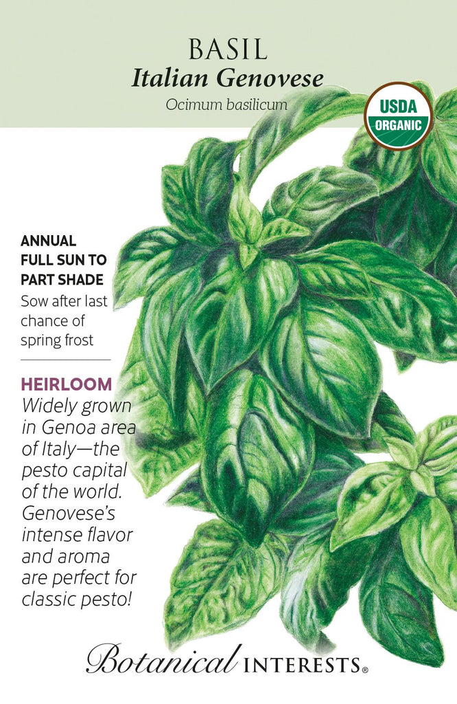 Italian Genovese Basil Herb Seed