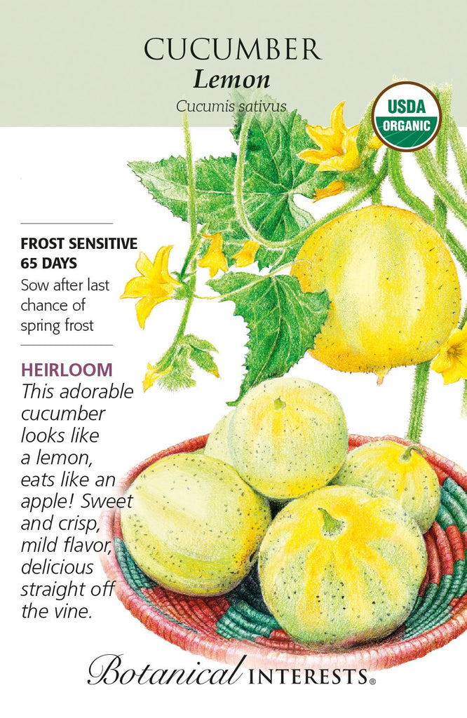 Lemon Cucumber Organic Seed