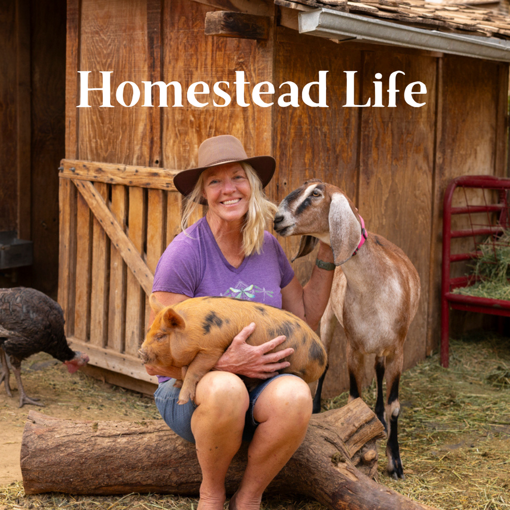 Small Acreage Homesteading: A Step-by-Step Course