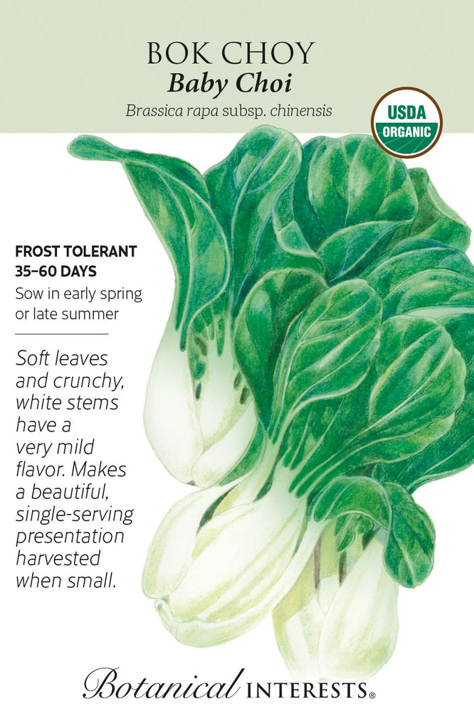 Baby Choi Bok Choy Seeds