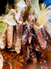 Glass Gem Corn Seeds