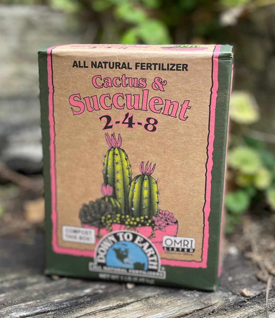 Cactus & Succulent 2-4-8