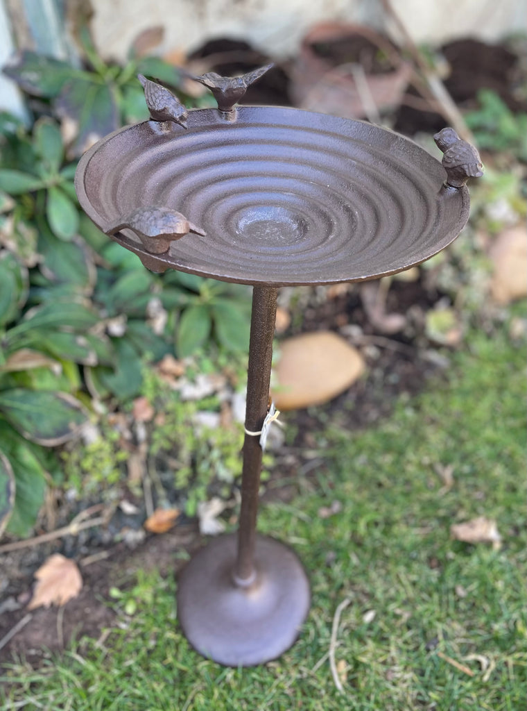 Cast Iron Bird Bath