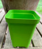 Sunpack Plastic Square Pots