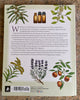 The Ultimate Guide to Aromatherapy