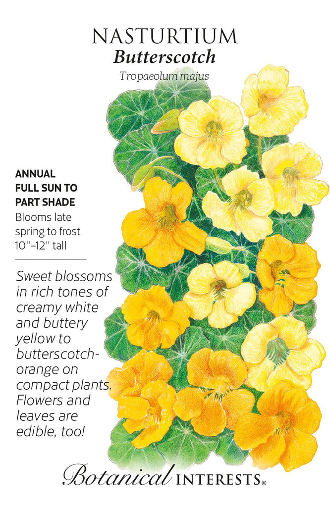 Butterscotch Nasturtium Seeds