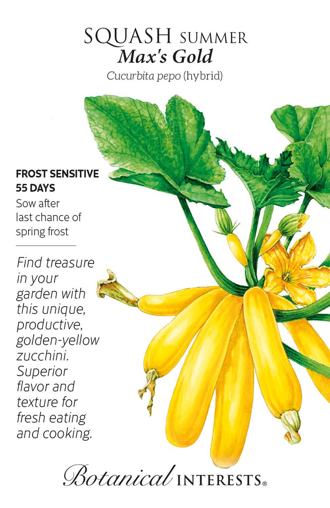 Max's Gold Zucchini Summer Squash