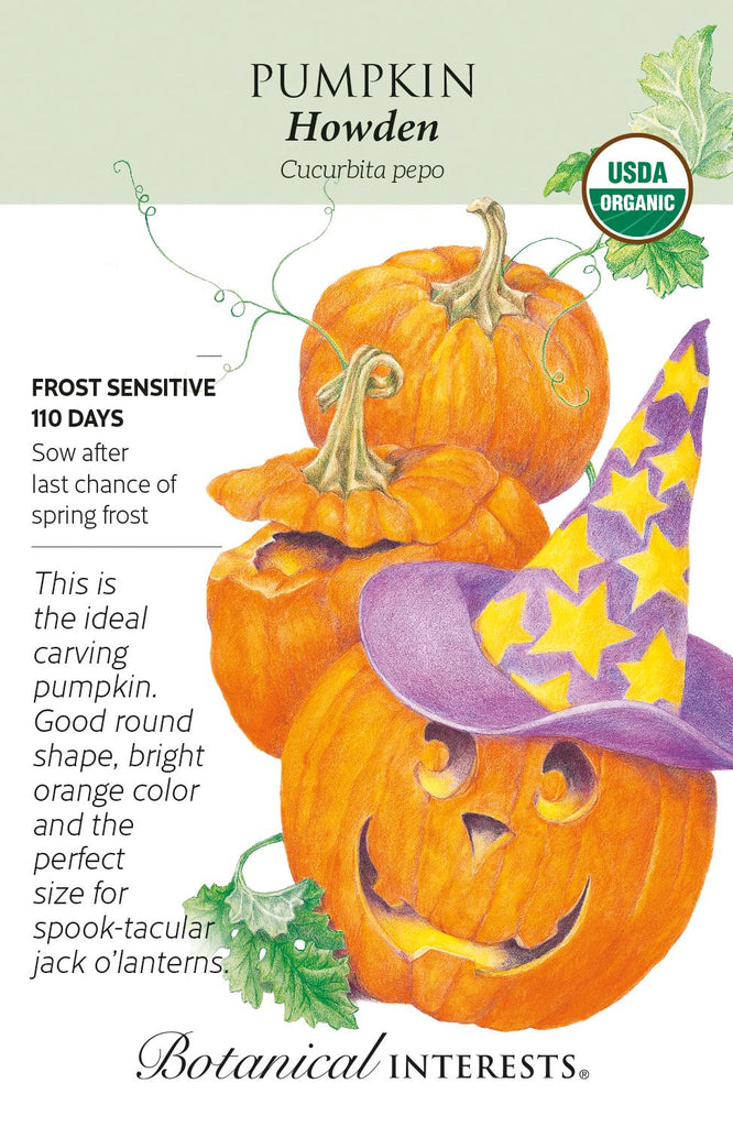 Howden Pumpkin Seeds