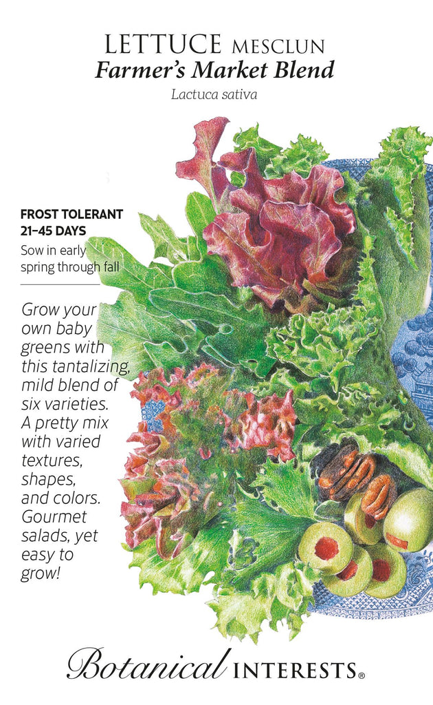 Farmer's Market Mesclun Blend Lettuce Seed