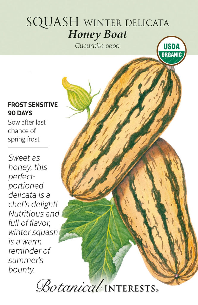 Honey Boat Delicata Winter Squash