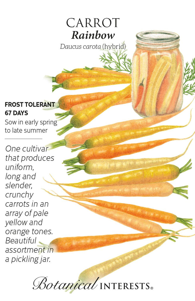 Rainbow Carrot Seeds