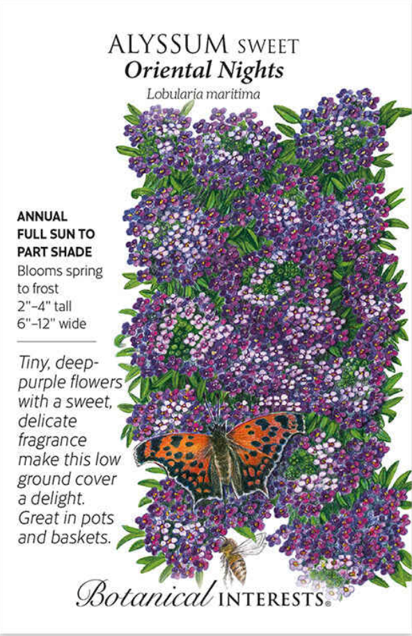 Oriental Nights Sweet Alyssum Seeds