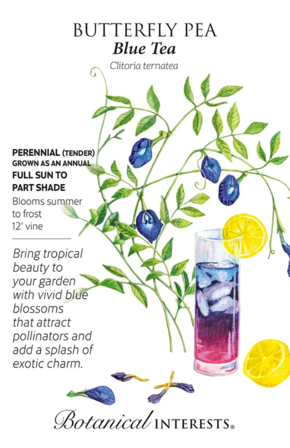 Blue Tea Butterfly Pea Seeds