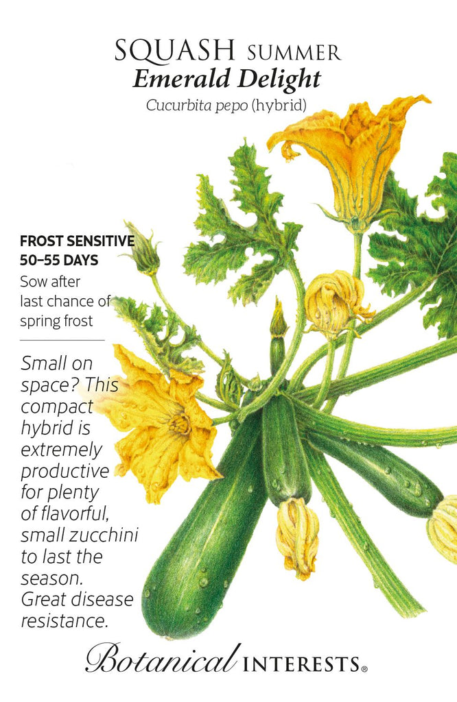 Emerald Delight Zucchini Summer Squash