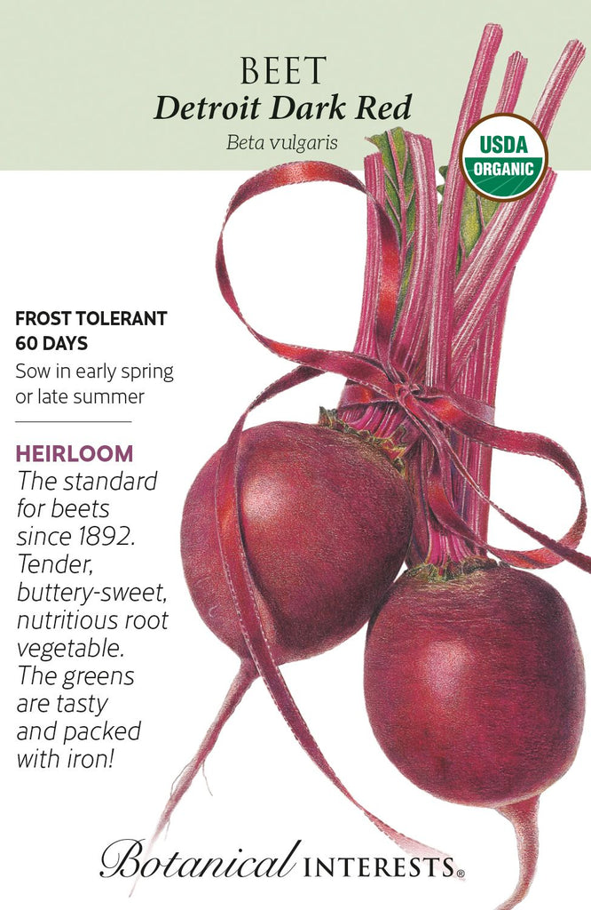 Detroit Dark Red Beet