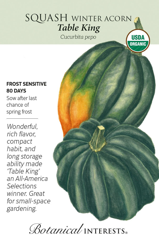 Table King Acorn Winter Squash Seeds