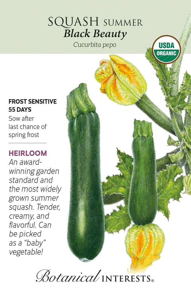 Black Beauty Zucchini Seeds