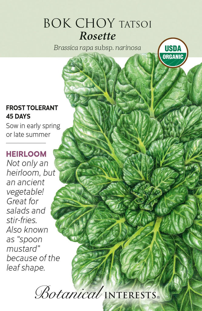 Rosette Tatsoi Bok Choy Seeds