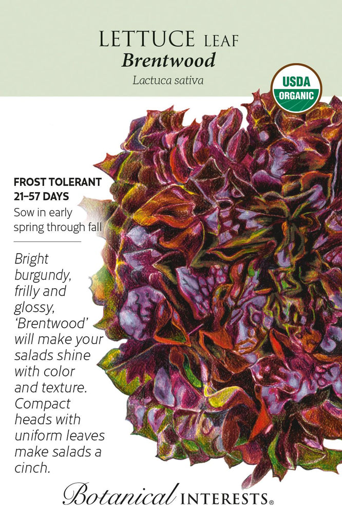 Brentwood Lettuce Organic Seeds