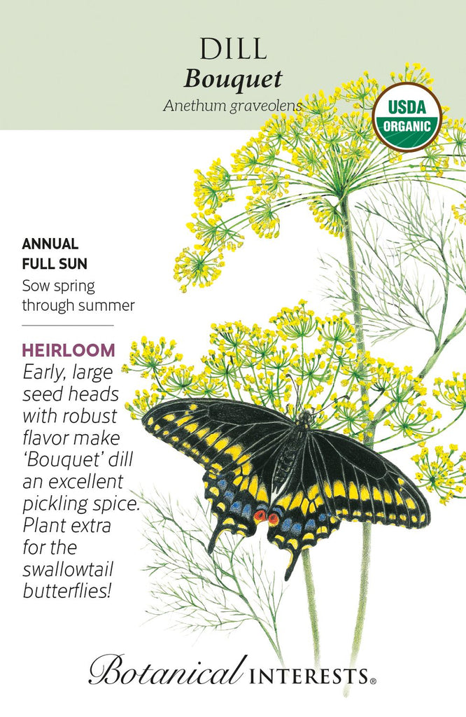 Dill Bouquet