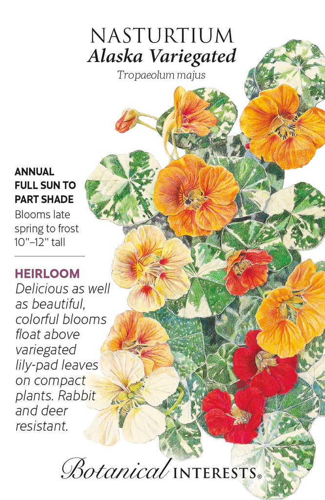 Alaska Variegated Nasturtium Seeds