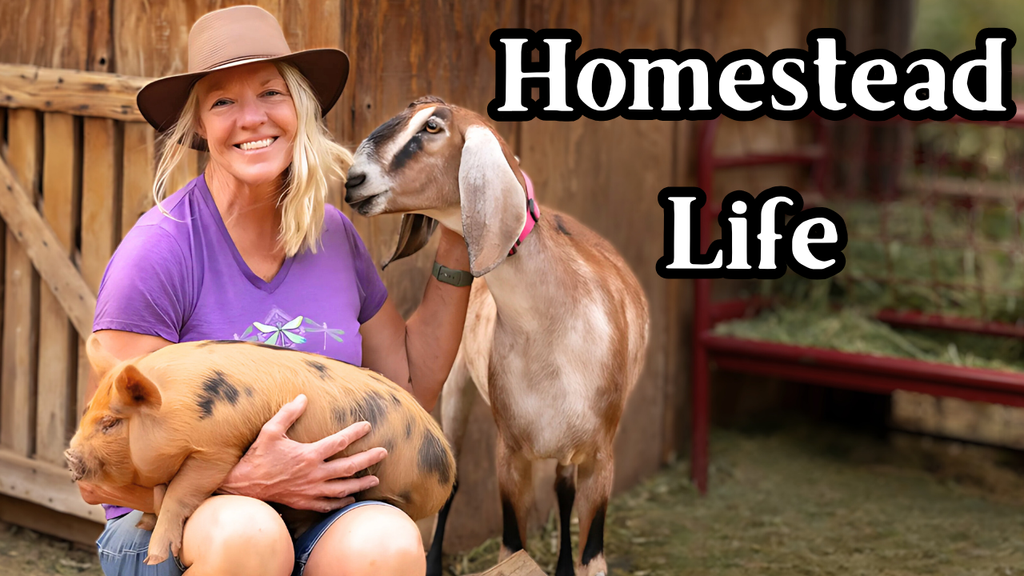 Small Acreage Homesteading: A Step-by-Step Course