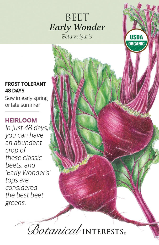 Early Wonder Tall Top Beet Seeds