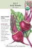 Early Wonder Tall Top Beet Seeds