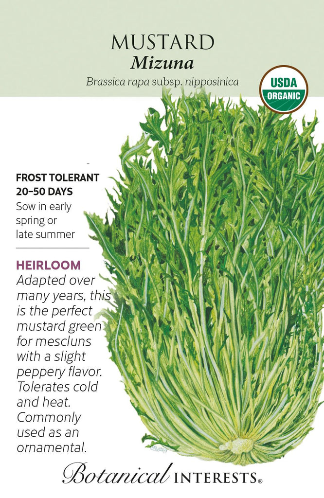 Mizuna Mustard Seeds