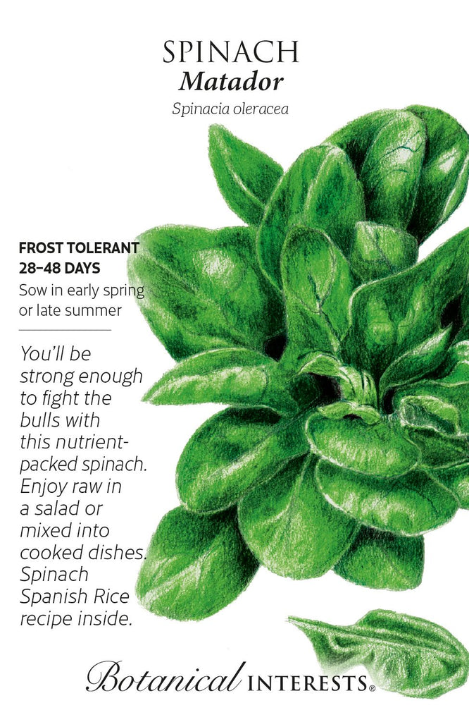 Matador Spinach Seeds