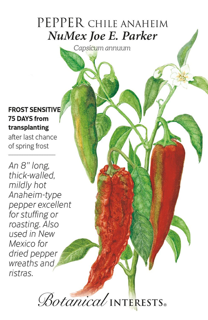 NuMex Joe E. Parker Hot Anaheim Pepper Seed