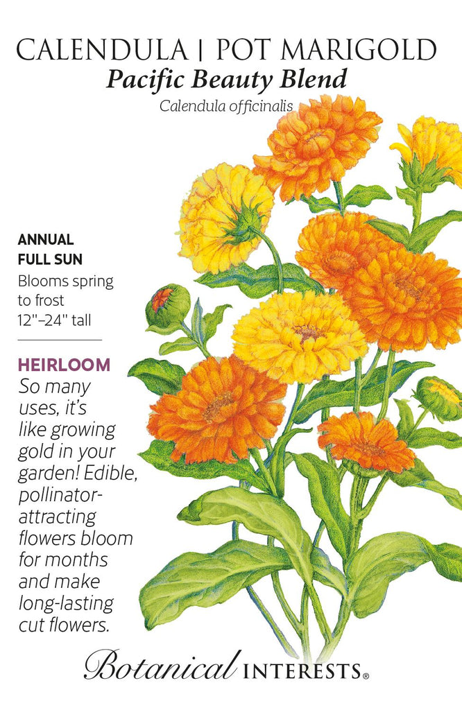 Pacific Beauty Blend Calendula Pot Marigold