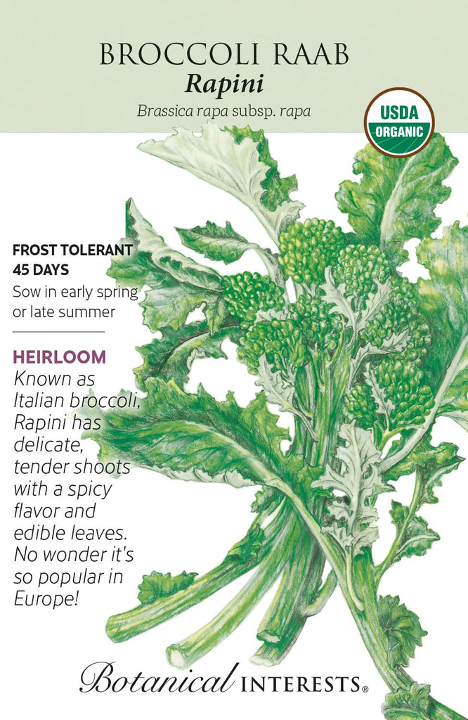 Rapini Broccoli Raab Seeds