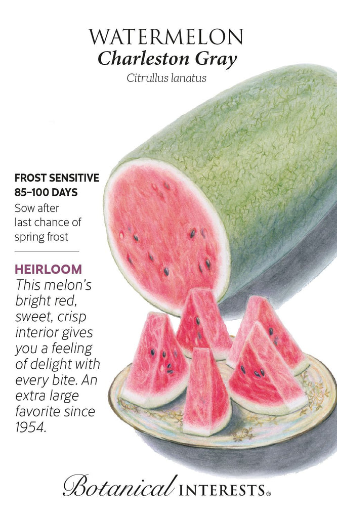 Charleston Gray Watermelon Seed