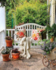 Bricks ‘n Blooms Guide/Beautiful & Easy Care Flower Garden