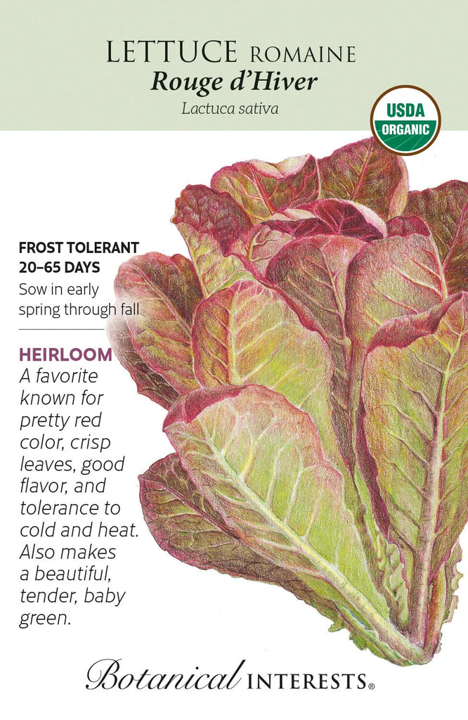 Rouge d'Hiver Lettuce Seeds